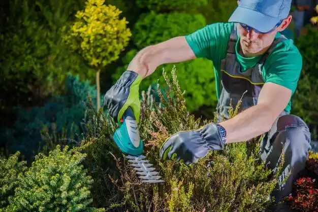 landscaping services Loveland Park
